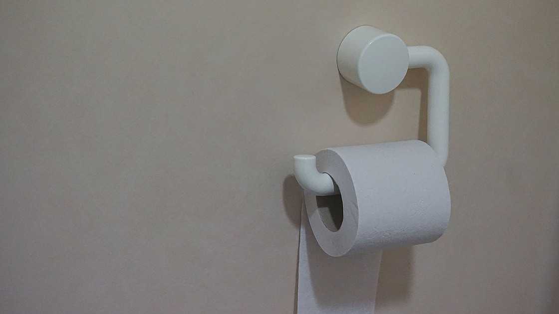 Хранение туалетной бумаги: 42 идей держателей с фото