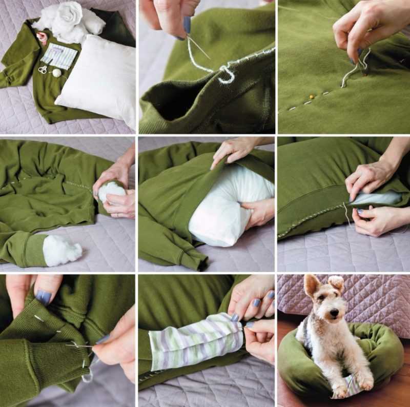 Выкройки одежды для собак разных пород и размеров