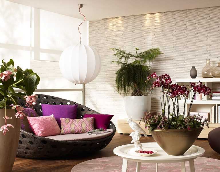 Красивые комнатные цветы (55 фото): броваллия и растения с декоративными листьями в горшках