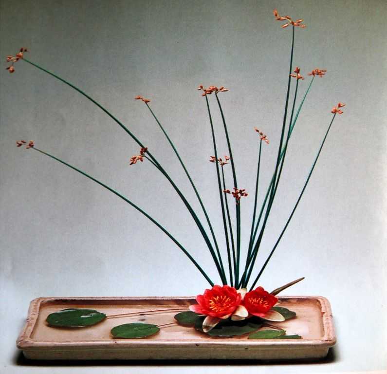 Икебана из цветов как украшение интерьера. пошаговая фото-инструкция, как сделать икебану своими руками.