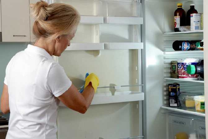 Чем помыть холодильник: обзор лучших средств по уходу и чистке