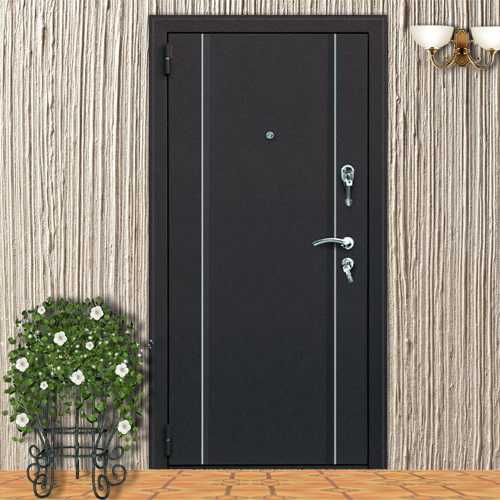 Как правильно выбрать входную металлическую дверь? советы от профессионалов.