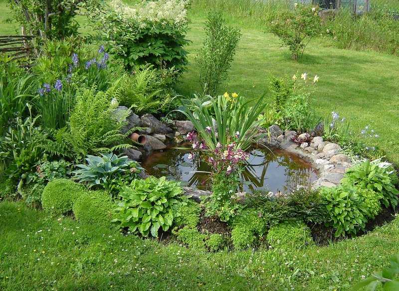 Пруд на даче своими руками — садовый пруд вашей мечты!