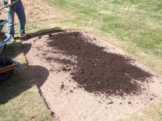 Как сделать газон на даче своими руками – подробная инструкция пошагового обустройства газона (145 фото-идей)