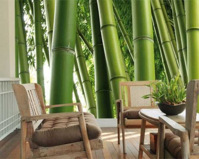 Бамбуковые обои в интерьере