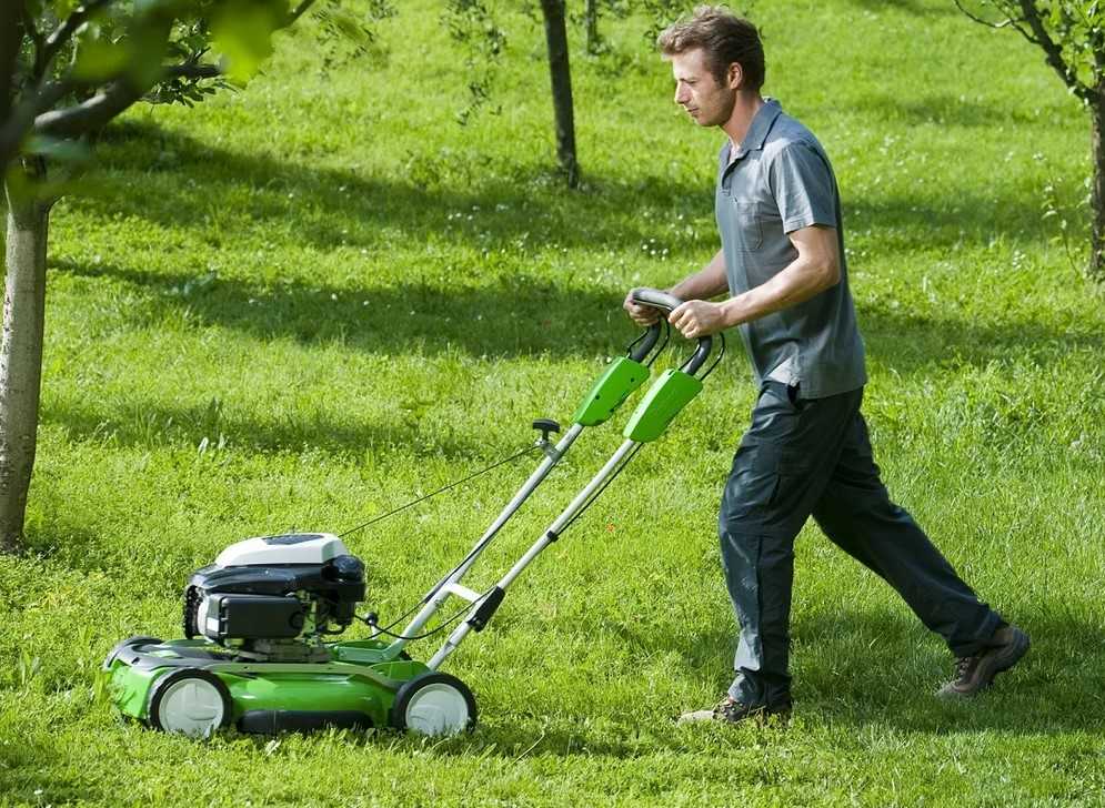 Как правильно стричь газон: главные правила и советы дачникам