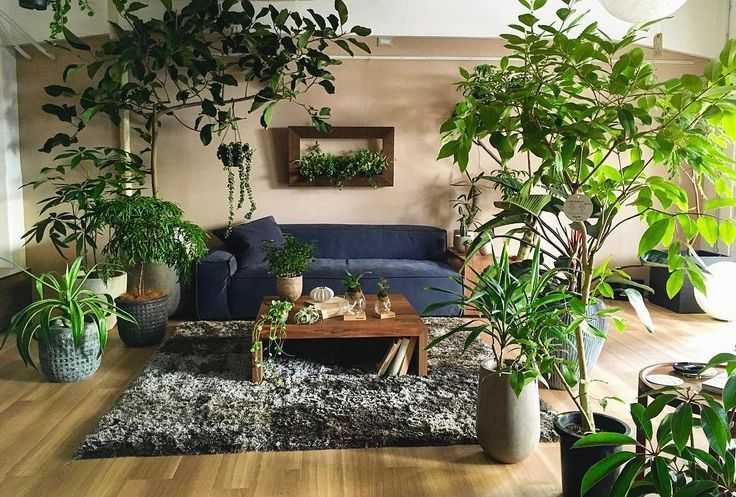 Растения в интерьере жилого дома (86 фото): комнатные цветы в красивых вазах, декор из искусственных растений