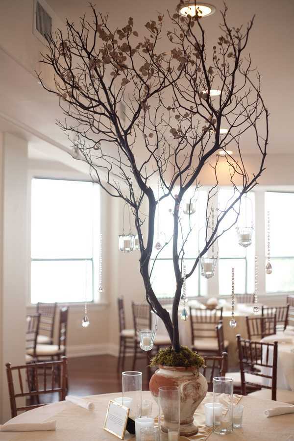 Декоративное дерево в современном декоре - 52 фото примера