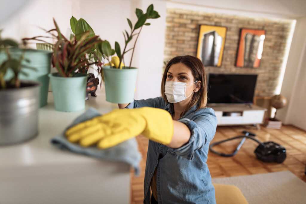 Как надолго избавиться от пыли в квартире