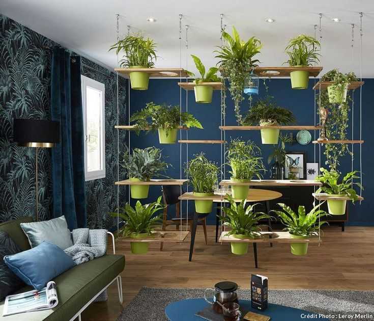 Модные комнатные растения 2017: самые модные комнатные цветы в горшках и растения для дома | houzz россия