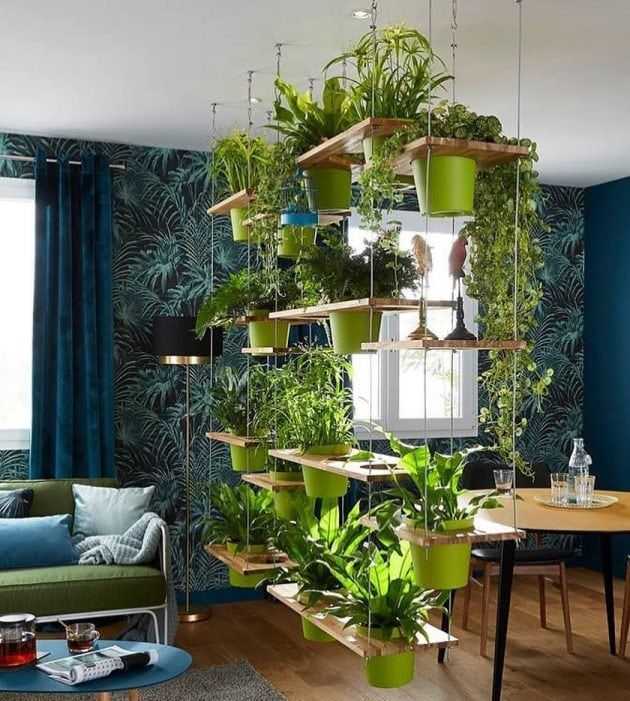 100+ лучших идей | комнатные растения в интерьере (80 фото)
