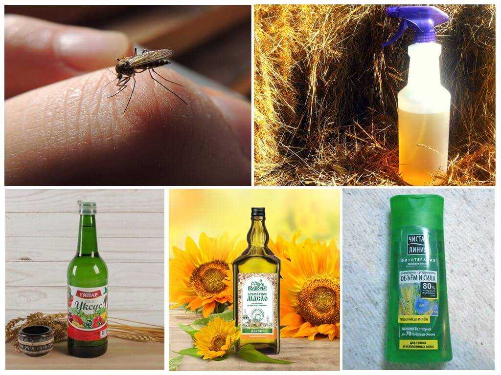 Народные средства от мухи: как в домашних условиях быстро избавиться от них? как бороться на улице и в помещении своими руками? травы и другие средства