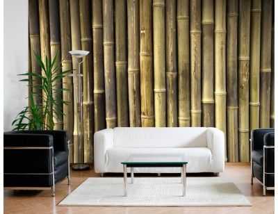 Бамбук в современном интерьере