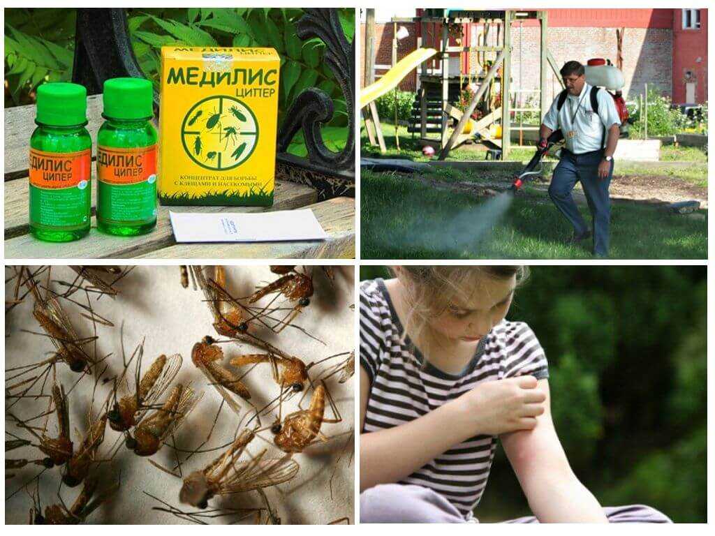 Средство от мух на улице: как избавиться от них в беседке и под навесом? чем отпугивать от летних площадок? эффективные средства