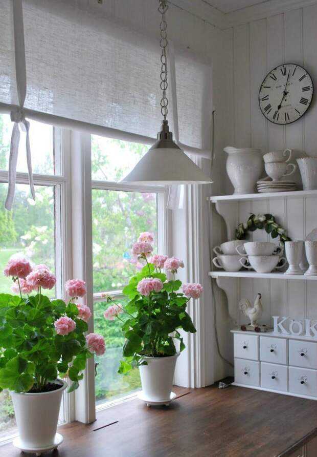 Ампельные комнатные растения (33 фото): виды висячих цветов для дома. теневыносливые свисающие вниз домашние цветы и другие