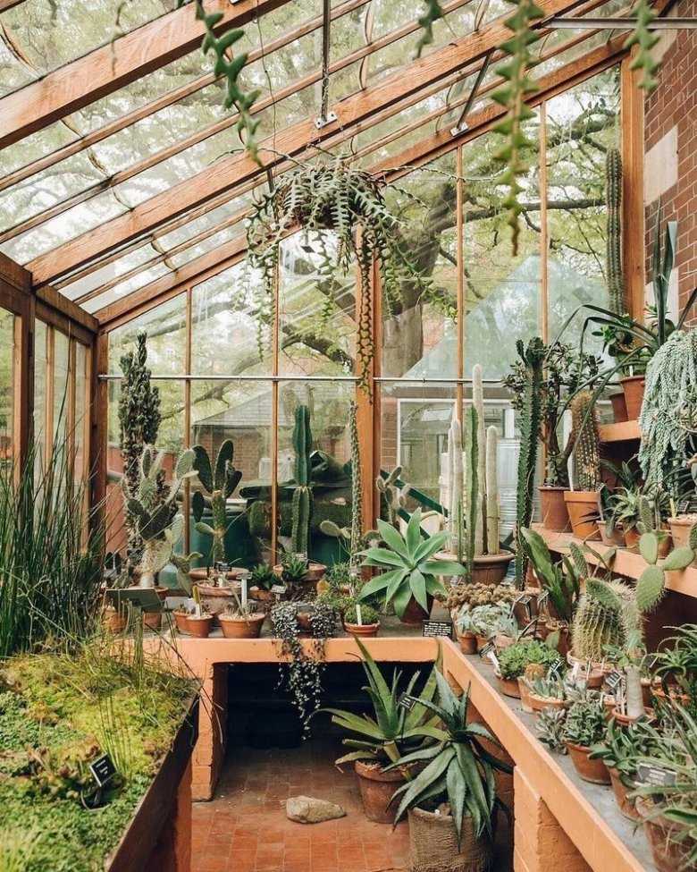 Зимний сад в доме: правила возведения и размещения тропических растений