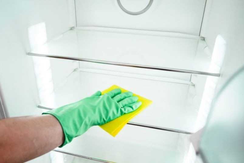 Средства для мытья холодильника внутри: каким моющим составом лучше мыть, как применять для чистки в домашних условиях?