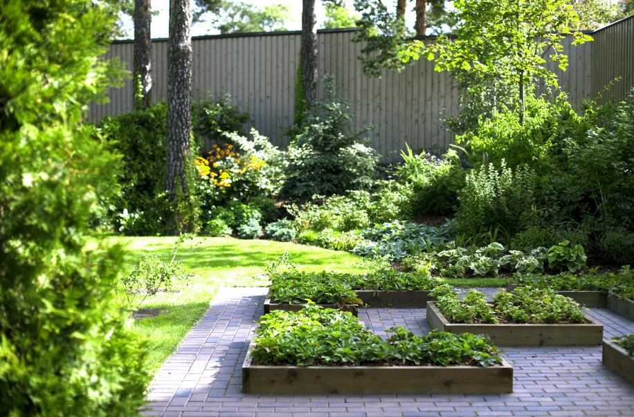 Ландшафтный дизайн садового участка площадью 6 соток