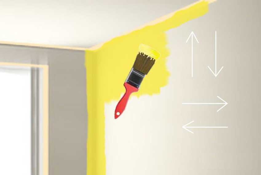 Покраска стен водоэмульсионной краской (29 фото): идеи дизайна, как покрасить без разводов, технология окраски