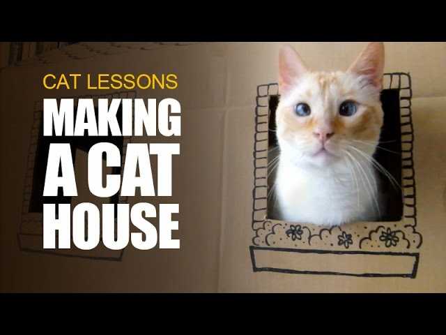 Домики для кошек и котов: модели, различия, рекомендации по приручению животного