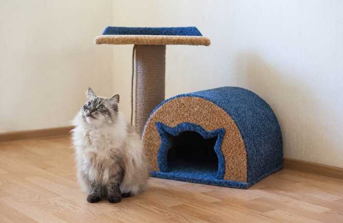 Домики когтеточки для кошек: виды и описание. делаем своими руками