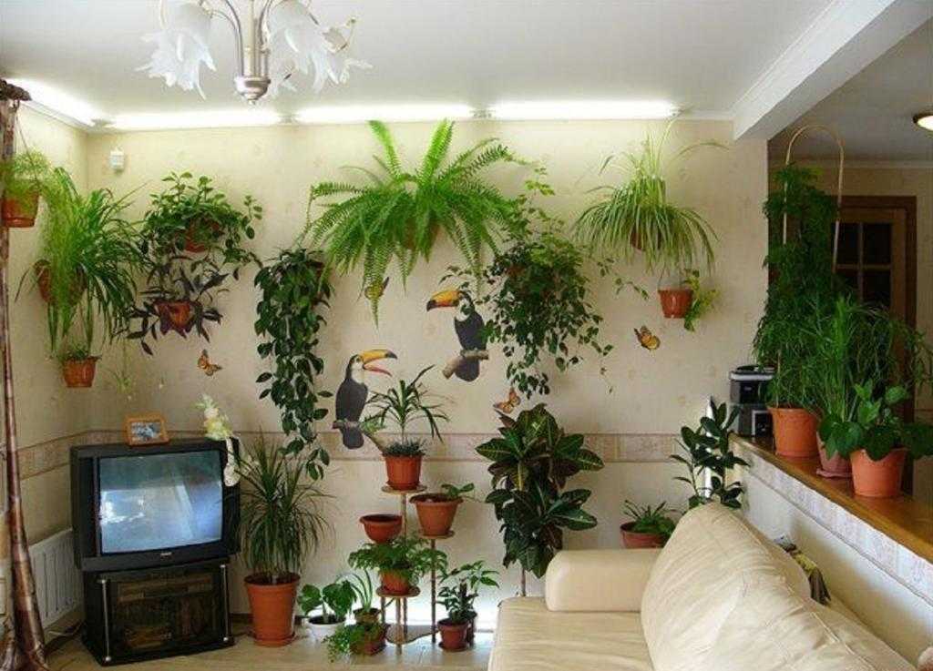 Комнатные растения в интерьере квартиры — 65 фото в стильном оформлении