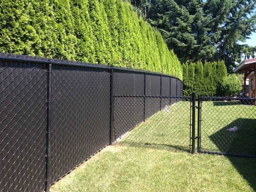Красивый забор из сетки рабицы: способы преображения скучной ограды