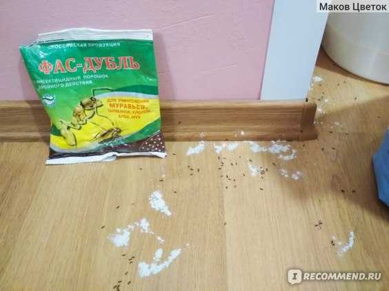 Как избавиться от муравьев в квартире навсегда в домашних условиях: 40 средств