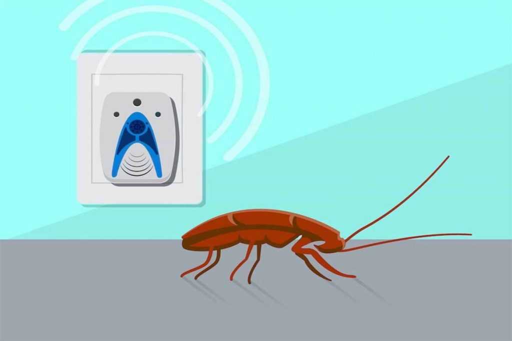Как в частном доме избавиться от тараканов раз и навсегда