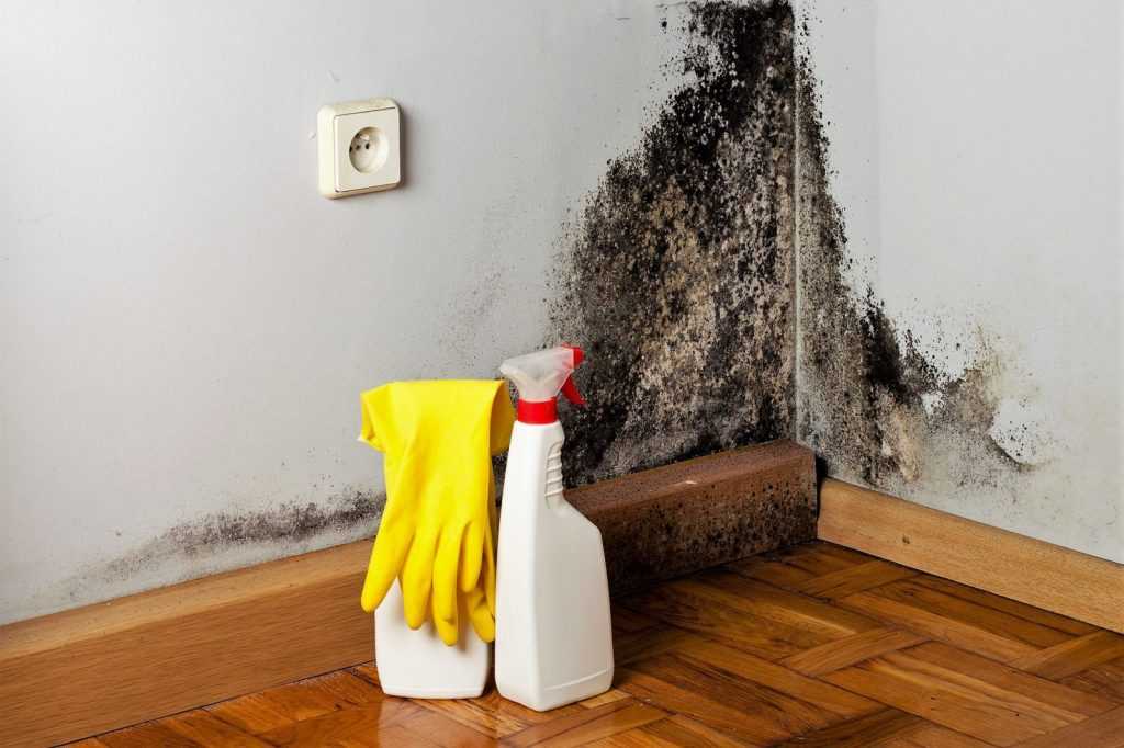 Как убрать пыль с обоев после ремонта