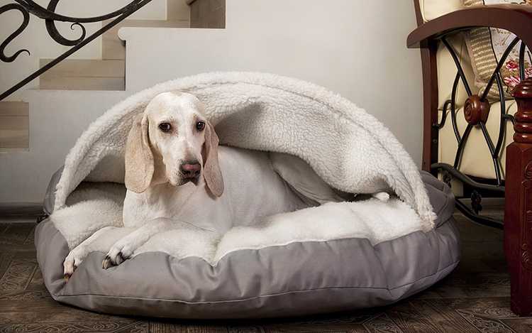 Удобный и красивый лежак для любимой собаки своими руками