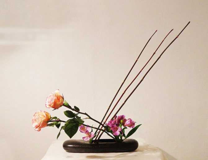 Икебана - необходимые материалы и инструменты для создания красивой икебаны (110 фото)