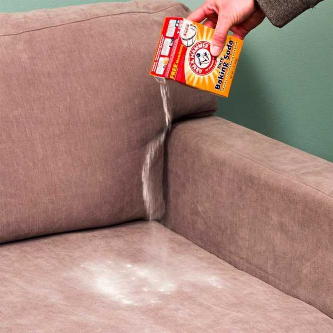 Чистка ковров и диванов - как почистить до идеального состояния дома