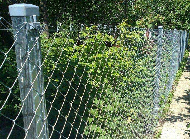 Как украсить забор из сетки-рабицы?