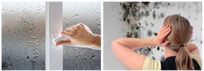 Как надежно избавиться от повышенной сырости в доме: проверенные способы понизить влажность в комнатах