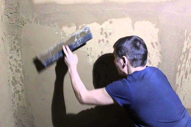 Какими красками рисуют на стенах: роспись акриловыми красками своими руками или иные варианты для рисования в квартире? какими можно рисовать на стене, окрашенной водоэмульсионной
