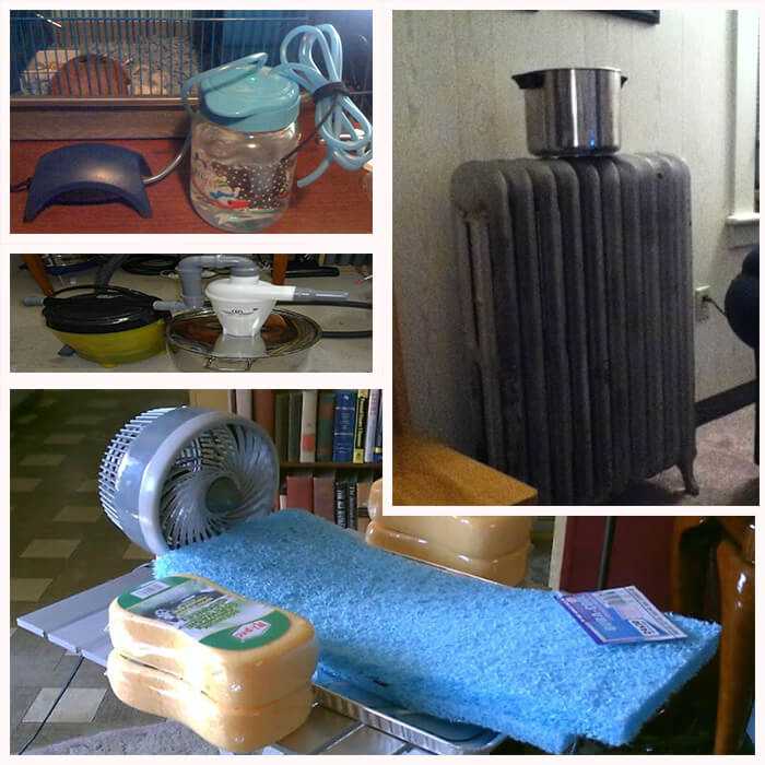 Как увлажнить воздух в домашних условиях без увлажнителя зимой: способы