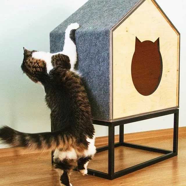 Домик для кошки своими руками - подробная пошаговая инструкция с фото идеми